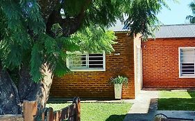 Eljacaranda_